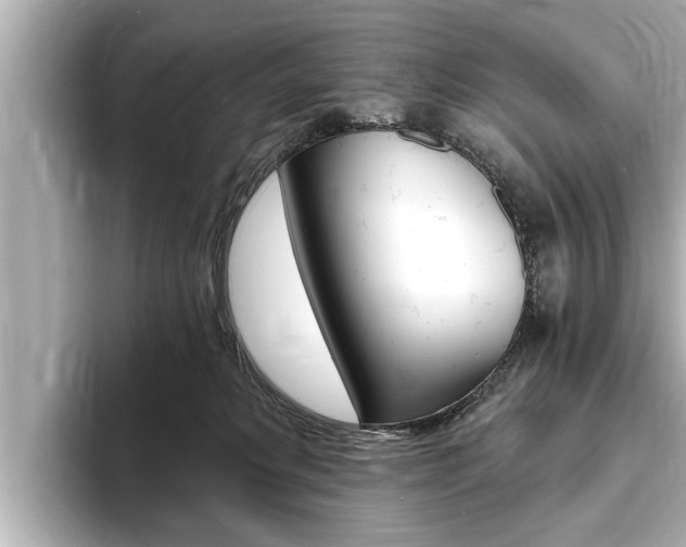 X0000093760229200710160842