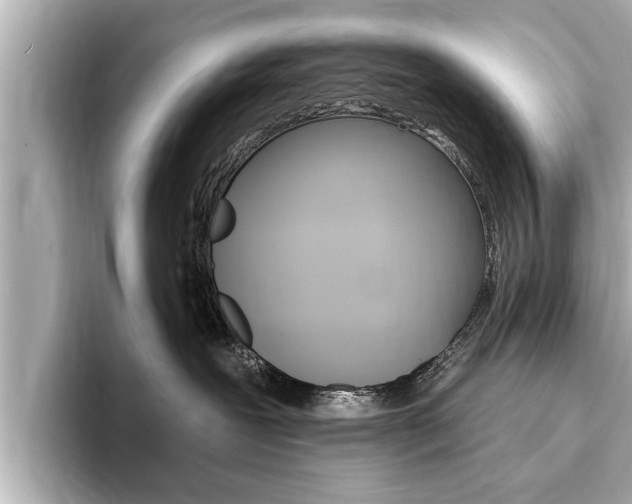 X0000093760239200710160842