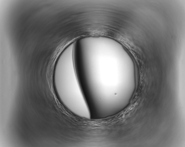 X0000093760241200710160842