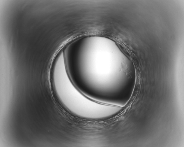 X0000093760244200710160842
