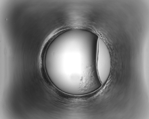 X0000093760246200710160842