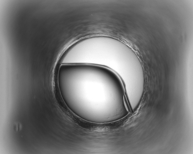 X0000093760248200710160842