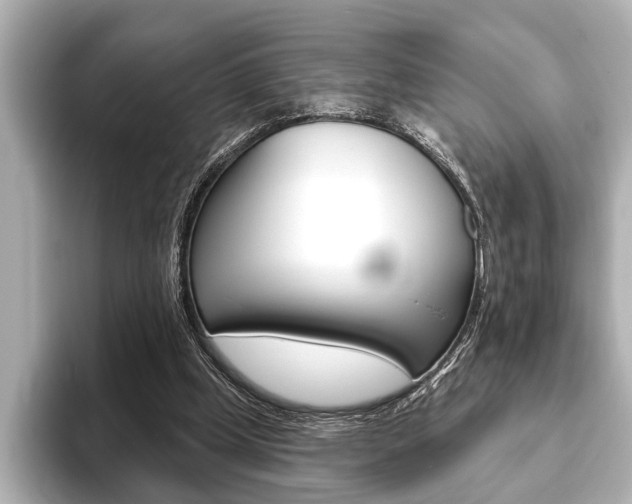 X0000093760249200710160842