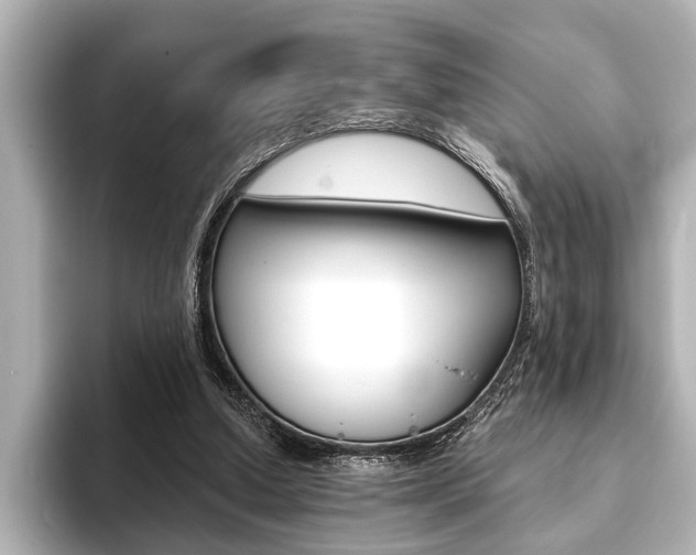 X0000093760250200710160842