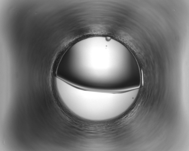 X0000093760252200710160842