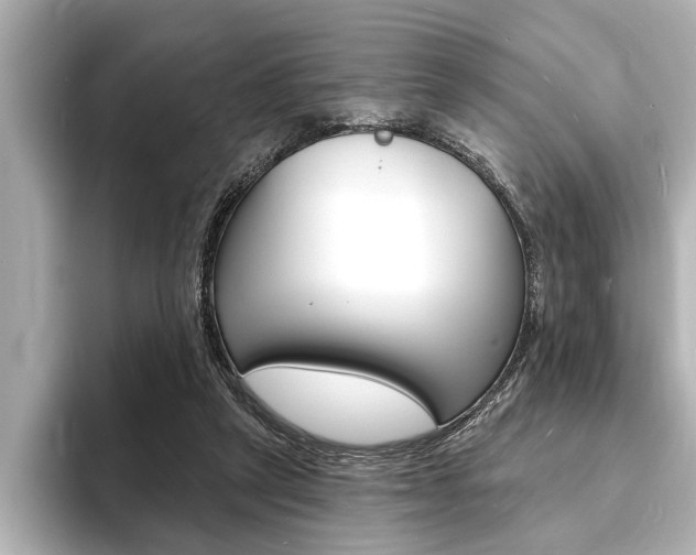 X0000093760257200710160842