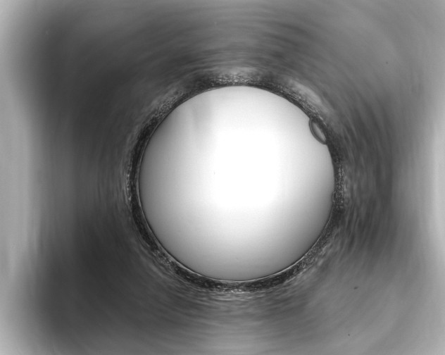 X0000093760258200710160842