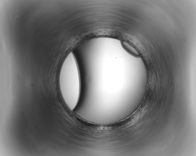 X0000093760261200710160842