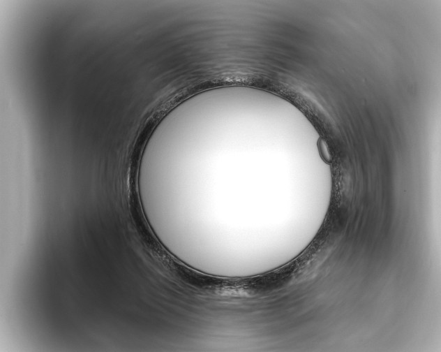 X0000093760262200710160842