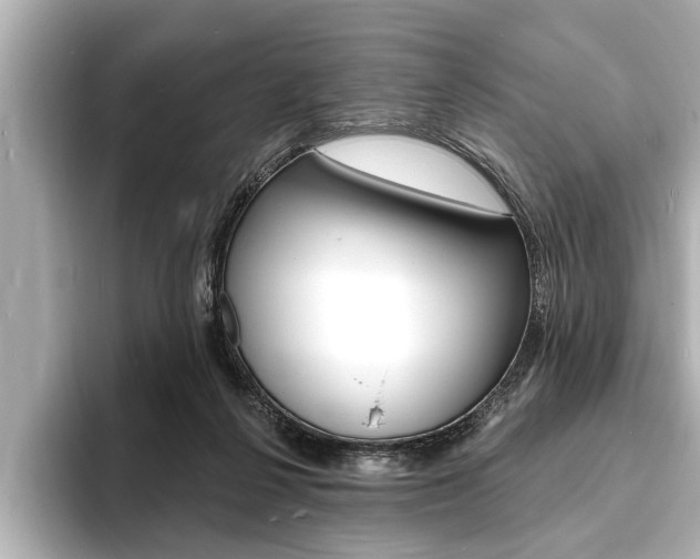 X0000093760264200710160842