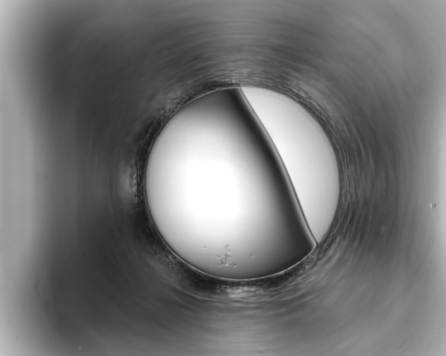X0000093760268200710160842