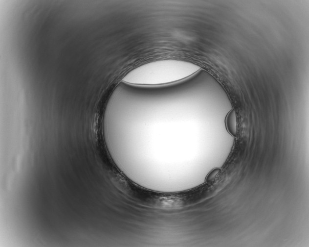 X0000093760275200710160842