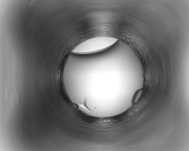 X0000093760278200710160842