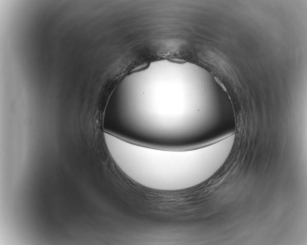 X0000093760280200710160842