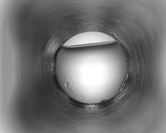 X0000093760281200710160842