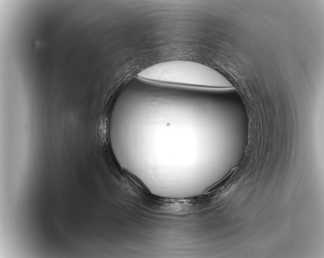 X0000093760288200710160842