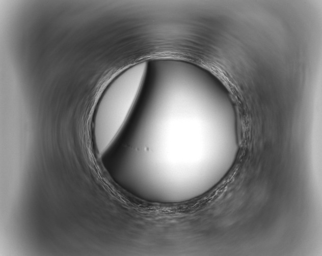 X0000093760289200710160842