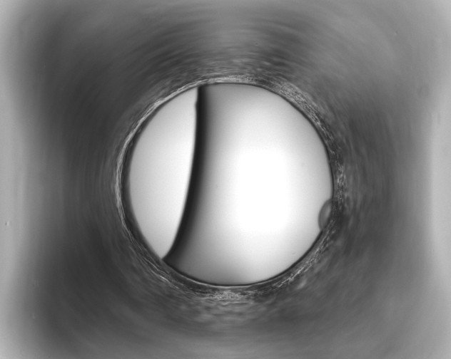 X0000093760290200710160842