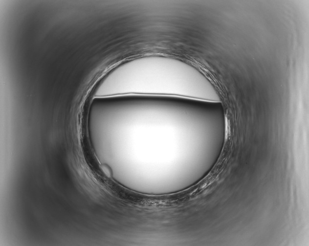 X0000093760291200710160842