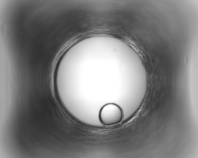 X0000093760293200710160842