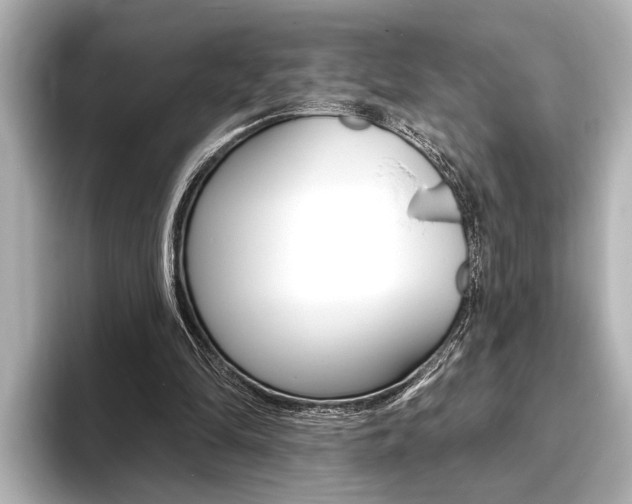 X0000093760294200710160842