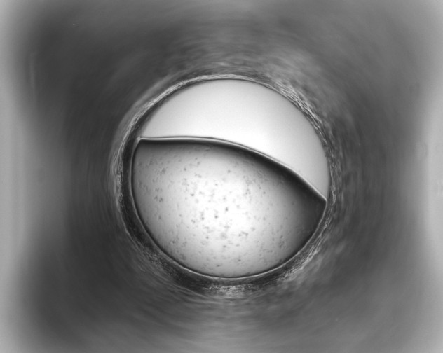 X0000093760295200710160842