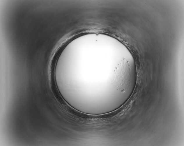 X0000093760296200710160842
