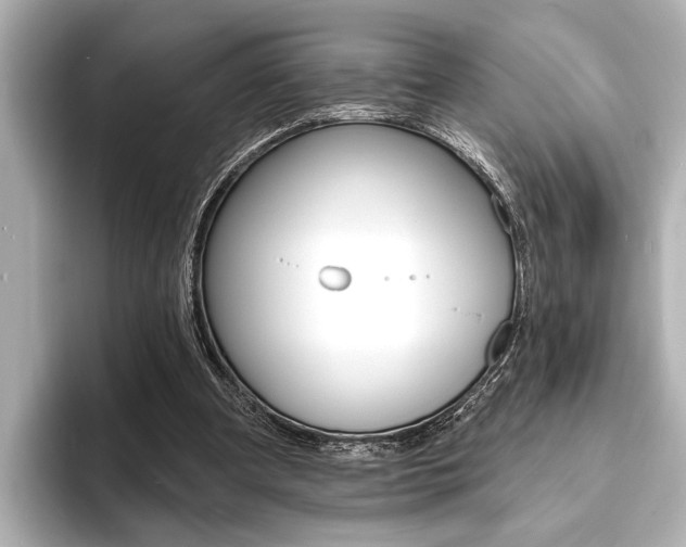X0000093760297200710160842
