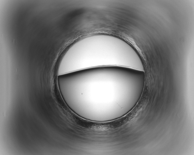 X0000093760299200710160842
