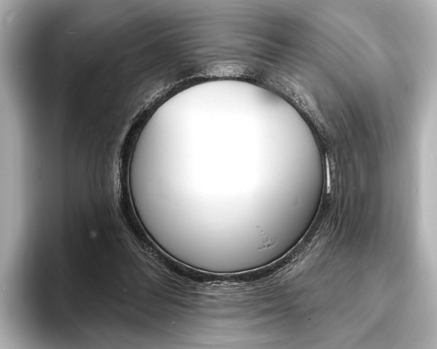 X0000093760300200710160842