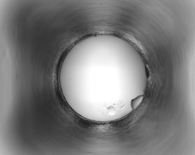 X0000093760306200710160841