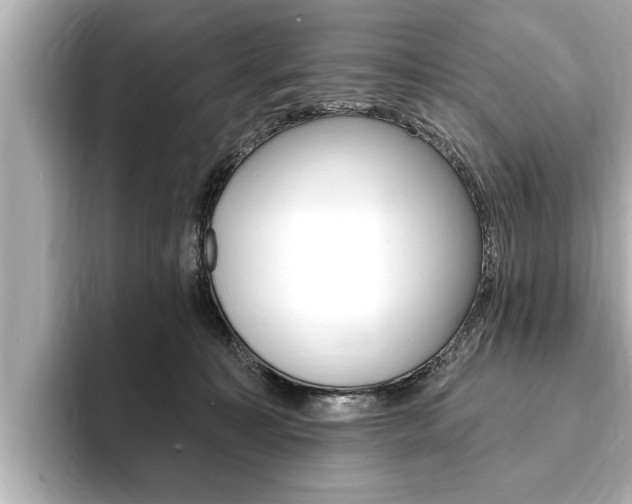 X0000093760323200710160841