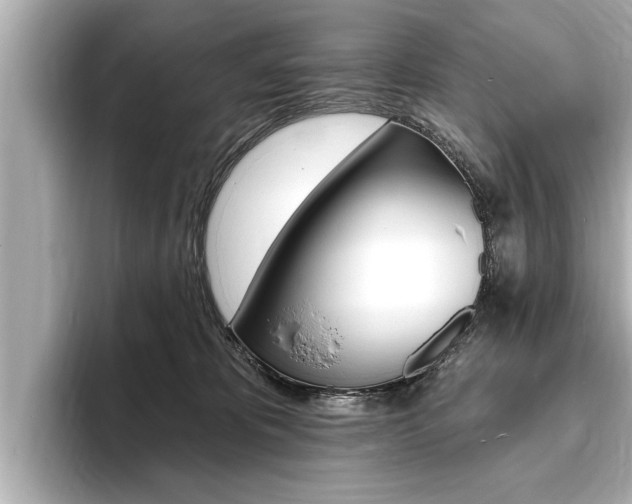 X0000093760325200710160841
