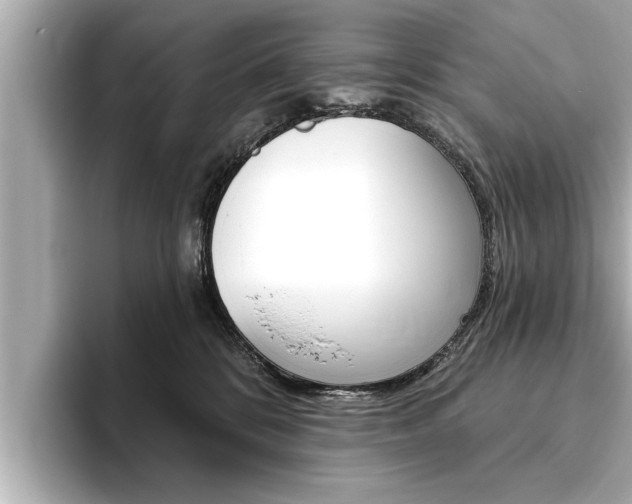 X0000093760328200710160841