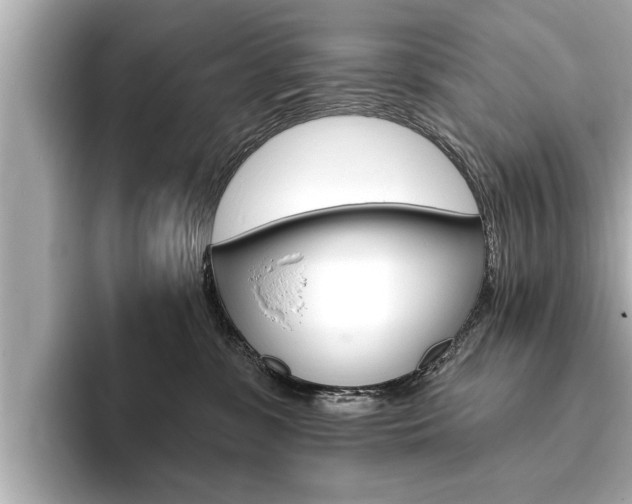 X0000093760331200710160841