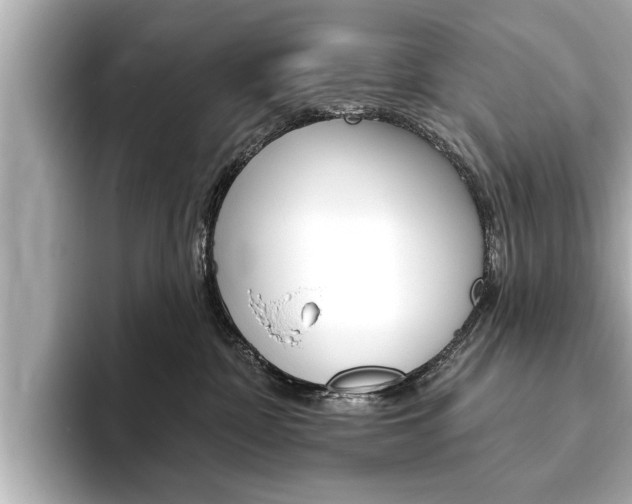 X0000093760332200710160841