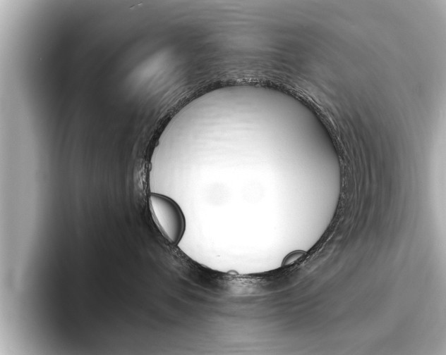X0000093760336200710160841