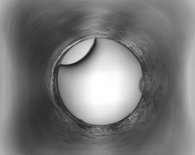 X0000093760338200710160840