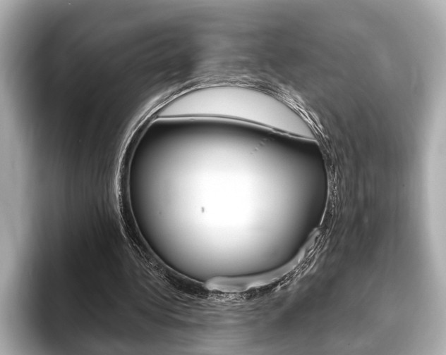 X0000093760340200710160840