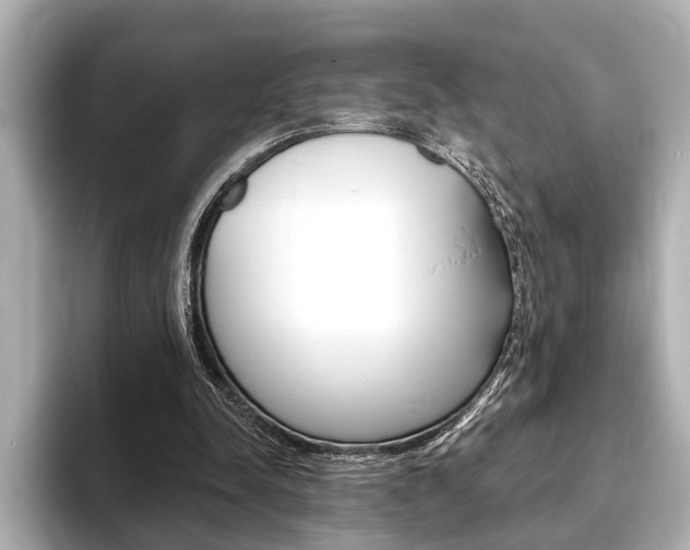 X0000093760342200710160840