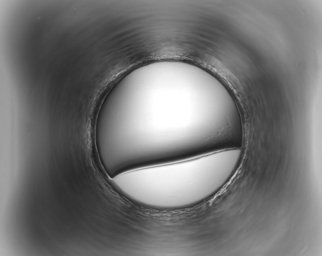X0000093760345200710160840