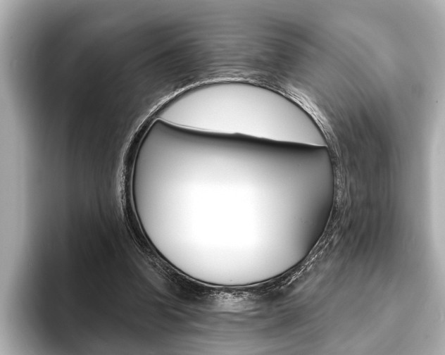X0000093760346200710160840