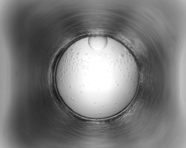 X0000093760347200710160840