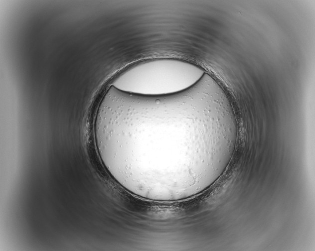 X0000093760351200710160840
