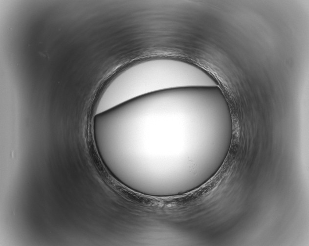 X0000093760352200710160840