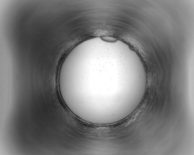 X0000093760353200710160840