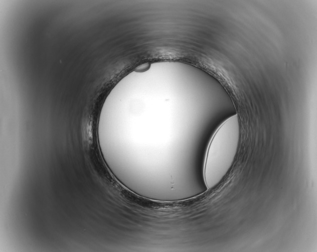X0000093760358200710160841
