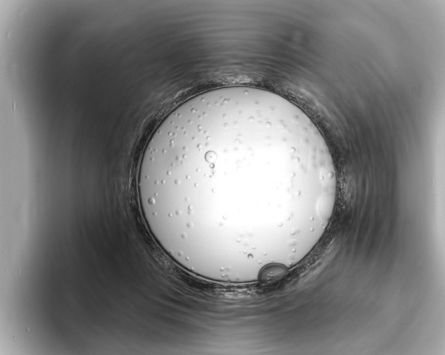 X0000093760359200710160841
