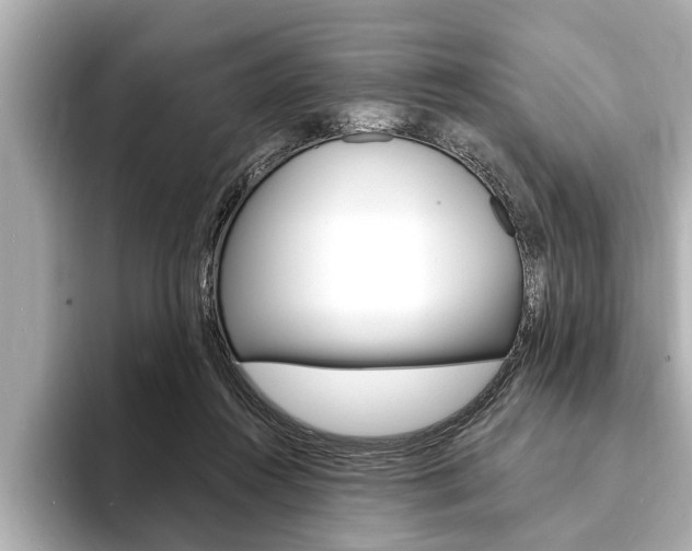 X0000093760360200710160841