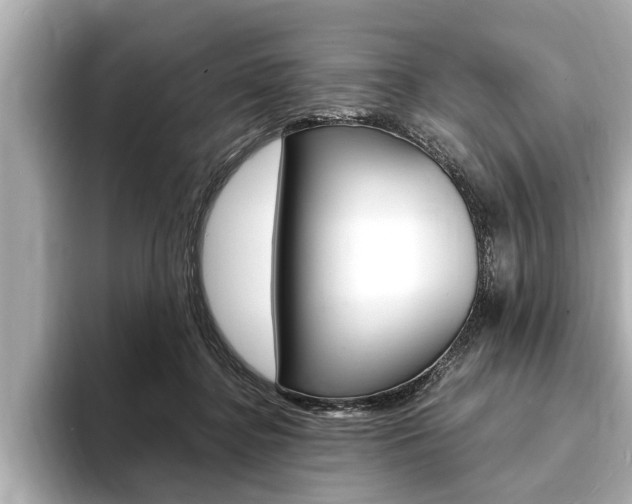 X0000093760364200710160841
